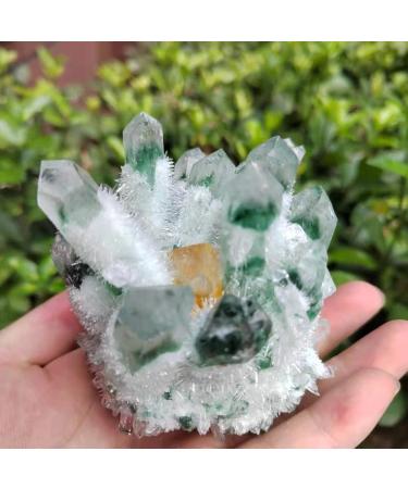 Natural Crystal Rough 1pc Natural Green Phantom Quartz Crystal Cluster Yellow Citrine Stone Ornaments 300G-900G for (Color : 1pc570g-640g Size : 1PC) 1PC 1pc570g-640g - Buy Online on GoSupps.com