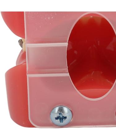 Buy Ververt Touch Ceramic Dental Orthodontic Bracket Model - 24 Teeth Demo Model for Teacher Training | International Shipping Available - Buy Online on GoSupps.com