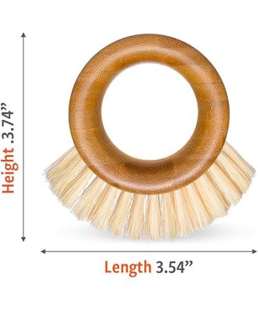 Full Circle The Ring Fruit and Vegetable 2 in 1 Fruit & Vegetable Cleaning Brush  Small (Pack of 1)  White - Buy Online on GoSupps.com