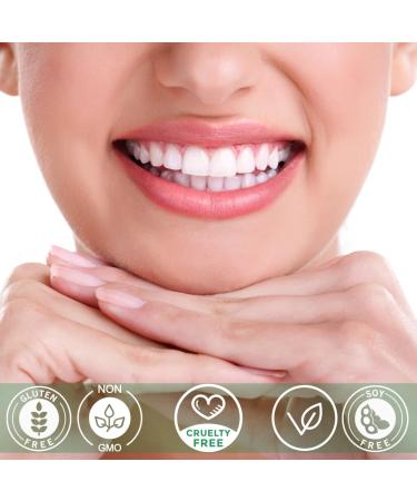 Dental Herb Company - Travel Toothpaste 1oz (3 Pack) Truly Natural Fluoride-Free and SLS-Free - Superior Defense Against Bleeding and Irritated Gums Dry Mouth and Mouth sores. - Buy Online on GoSupps.com