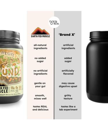 Earth Fed Muscle Common Ground Plant Protein Powder Chocolate Peanut Butter Protein Powder with MCT Oil Soy & Gluten Free No Added Sugar Keto - 30 Servings Chocolate Peanut Butter 1.74 Pound (Pack of 1) - Buy Online on GoSupps.com