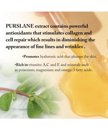 POWER 9 ELIXIR Vitamin C Serum - Brightening & Anti-Aging Skincare 1 Fl Oz - Fast International Shipping - Buy Online on GoSupps.com