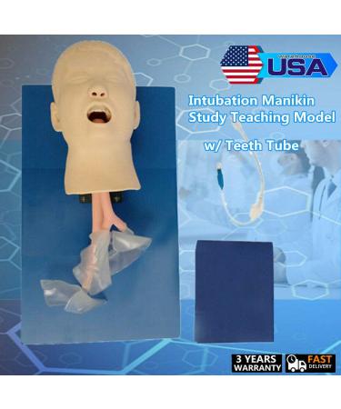 Intubation Model & Airway Management Trainer | Expert Manikin for Oral & Nasal Training | Ideal Teaching Simulator for Lab & School Education - Buy Online on GoSupps.com