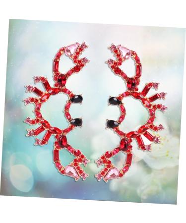 Zerodeko 2 Pairs Earrings for Women Orrous 925 Sterling Silver Earrings Women Jewelry Earrings Christmas Earrings Womens Earrings Post Earrings for Women Crystal Pendants Personality Miss - Buy Online on GoSupps.com