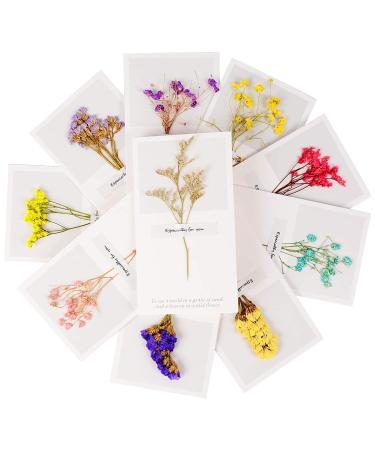 Andy Anand Sugar Free New York Cheesecake 9 - Gourmet Gift with Greeting Card for Special Occasions (2 lbs - Buy Online on GoSupps.com