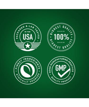 Piping Rock Stinging Nettles Supplement | 180 Capsules | Concentrated Herb Leaf Extract | Non-GMO Gluten Free - Buy Online on GoSupps.com