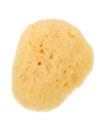 FOYTOKI Natural Sponge Greece Facial Cleansing Sponge Face Sponges for Cleansing and Exfoliating Face Cleansing Pads Facial Sponges for Women Face Sponge for Washing Face Cleansing Sponges