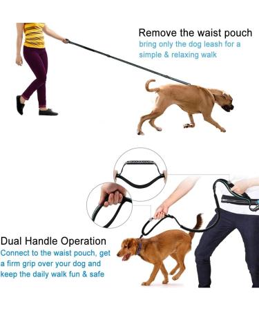 Philorn Super Elastic Freehand Dog Leash 120-170 cm with Belt Pocket - Jogging Leash for Large Dogs Up to 65 kg Reflective & Bungee Design - Perfect for Active Dog Owners - Buy Online on GoSupps.com