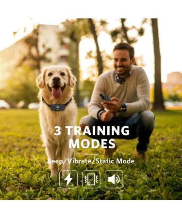 DOG CARE Dog Training Collar for Large Medium Dogs - Remote Shock Collar with Beep, Vibration, Static Modes - Adjustable Levels - Long Range Control - Black - Buy Online on GoSupps.com