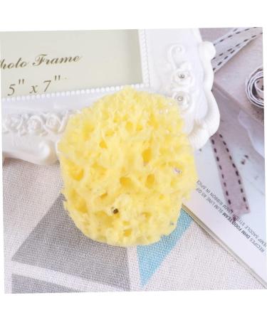 FOMIYES 1pc Sponge for Bathing Bath Sponge Body Sponge Sea Sponge for Bathing Natural Sponge Seaweed Sponge Honeycomb Bath Ball Algae Sponge Greek Natural Seaweed Sponge - Buy Online on GoSupps.com
