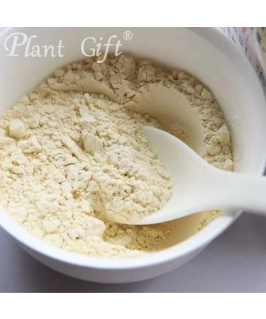 100% Natural Pure Pea Powder 100g/3.52oz pour cuisiner des recettes de boulangerie et des boissons | sans conservateurs sans sucre ajout  - Buy Online on GoSupps.com