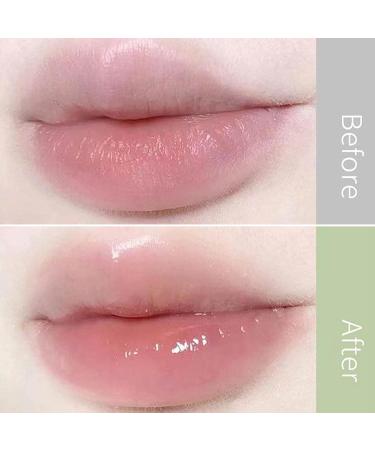 Vigcebit Upholstery Lip Gloss | 2 Series Day & Night Lip Plumper Set - Moisturizing Balm for Full Elastic Lips & Fine Line Reduction - Buy Online on GoSupps.com
