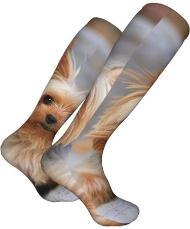 Yorkshire Terrier Photo Compression Socks for Men & Women | 15-20 mmHg Circulation Support for Running & Cycling - Buy Online on GoSupps.com
