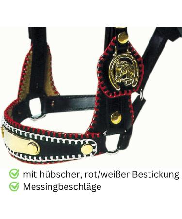 AMKA Decorative Halter - COB Show Bridle & Driving Halter with Brass Fittings | International Shipping - Buy Online on GoSupps.com