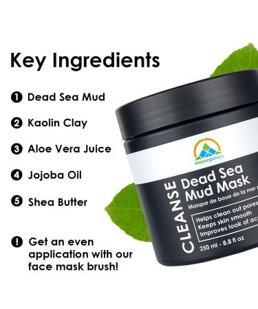 Dead Sea Mud Mask for Face and Body - Best Clay for Blackheads, Whiteheads, Acne | Hydrating & Improving Oily Skin | Natural Face Mask for Men & Women 250g - Buy Online on GoSupps.com