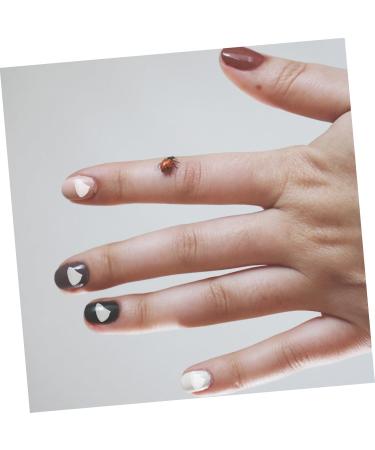 Pierres Nail Art en Verre Irr gulier 200 G Remplissage poxy Transparent DIY Accessoires Manucure Bricolage Cr atif - Buy Online on GoSupps.com