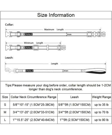 Olahibi Basic Dog Collar and Leash Combo Set Durable Nylon Collar and 150CM Matching Leash for Small Dogs.(S Brown Set) S Nylon Brown Set - Buy Online on GoSupps.com