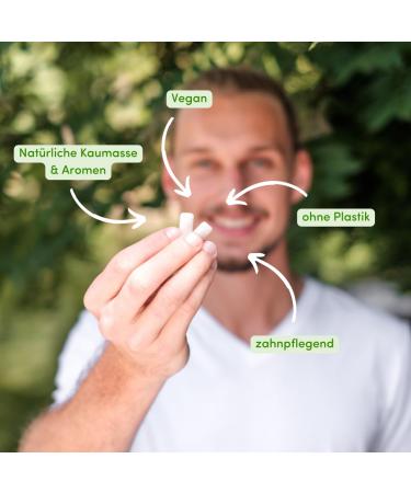 BIRKENGOLD Nature Disch Calition Chumpory - Peppermint Plastic-Free Sugar-Free 12x28g - Certified Natural Cosmetics - Buy Now! - Buy Online on GoSupps.com