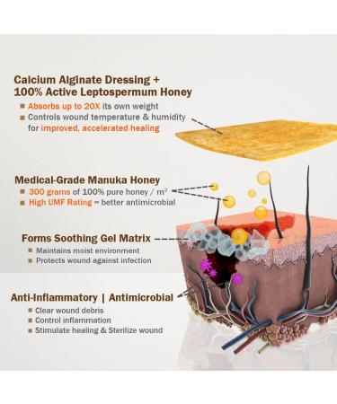 EVERLIT Honey Calcium Alginate Dressing 2"x2" - Pack of 10 | Sterile & Highly Absorbent Wound Care with Pure Manuka Honey for Cuts Burns & Diabetic Ulcers - Buy Online on GoSupps.com