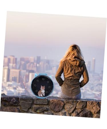 VALICLUD 1pc Carrier Puppy Outdoor Cat Back Portable Space Breathable Cabin Bag Dog Pet Transparent for 35X35X17CM Blue - Buy Online on GoSupps.com