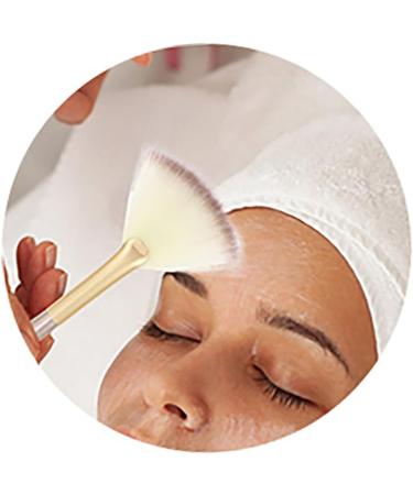 5 sets of make-up powder brush make-up brush cosmetic brush make-up blush make-up powder sponge women corrugated cardboard made of silk-nylon-wool  - Buy Online on GoSupps.com