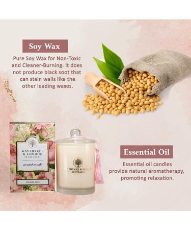 Wavertree & London Organic English Rose Scent Soy Wax Candle - Non-Toxic 100% Cotton Wick Triple Scented Hand Poured in Australia | 60 Hours of Burn Time | 11.66 Oz - Buy Online on GoSupps.com