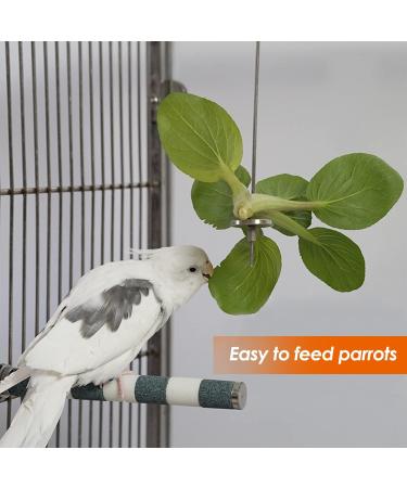 iTGOOS 2Pcs Parrot Skewer Feeder Stainless Steel Parrot Fruit Stick Holder Bird Food Holder Birds Foraging Toy for Parrots Cockatoo Cockatiel Cage - Buy Online on GoSupps.com
