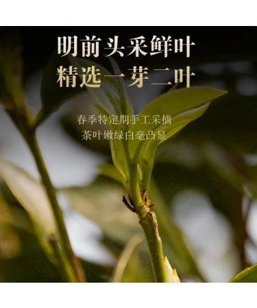 Pu-erh tea 2016 Yibang 357g Raw - Buy Online on GoSupps.com