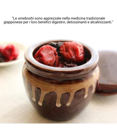 Umami Umeboshi 150g Fermented Japanese plums with salt and Shiso Product from Japan Traditional quality - Buy Online on GoSupps.com