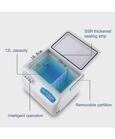 Insulin Cooler Refrigerated Case 12L Portable Cold Storage Box for Keeping Diabetes Large Capacity Portable Insulin Cooler Refrigerated Box Medicine Cooler Reefer Container - Buy Online on GoSupps.com