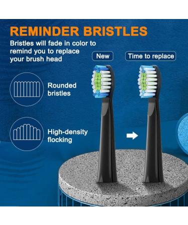 FamiHealth Rechargeable Electric Sonic Toothbrush for Adults - 5 Modes, 10 Heads, Black - Buy Online on GoSupps.com