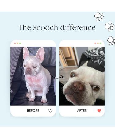 Scooch Allergy & Itching Chews | Vet-Formulated Hypoallergenic Plant-Based Treats | Peanut Butter & Coconut | Soothes Itchy Skin | 60 Chews - Buy Online on GoSupps.com