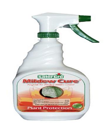Safergro 4237RTUSG Mildew Cure Mildew Cure Ready to Use