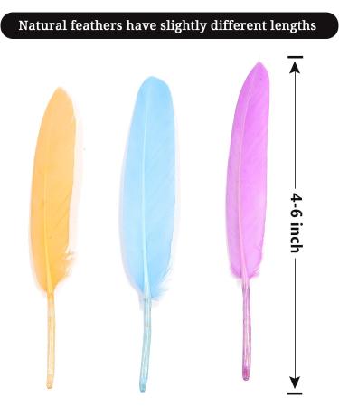 FeelfunFeather 240pcs Macaron Goose Cochettes Feathers 4-6 inch Bulk Natural - Wedding Party Halloween DIY Crafts - Buy Online on GoSupps.com