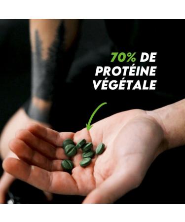 Muscle Recovery | RECUP Spirulina Acerola Fenugreek Organic | 70% Plant Protein | Reduces Sore Tones | Natural Antioxidant XL Size (Recup XL) - Buy Online on GoSupps.com