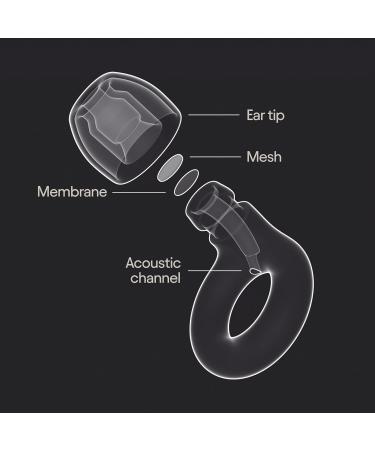 Loop Experience 2 Ear Plugs - Rose - Buy Online on GoSupps.com