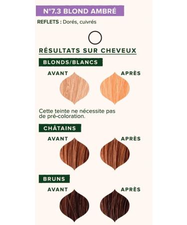 Emblica Organic Plant-Based Hair Color | No. 7.3 Medium Warm Blonde | Preservative Free | Rich in Amla | 100g - Buy Online on GoSupps.com