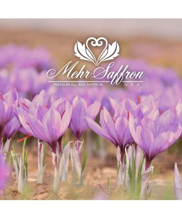 Premium All-Red Saffron Tin - 2g | Highest Quality Saffron Threads - Buy Online on GoSupps.com