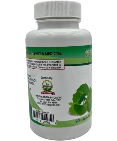 Ginkgo Biloba Capsules 90 Count 500mg ea. Healthy Labs/Plantimex - Buy Online on GoSupps.com