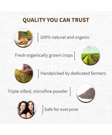 Henna Hair Dye Light Brown 100% Bio Organic Triple Sifted Microfine Powder (Product Box May Differ From Image ECO Cert & USDA Organic) - Buy Online on GoSupps.com