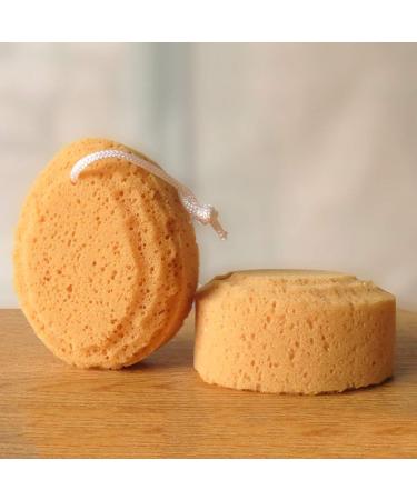 Bath Sponge Set - 4 Exfoliating Shower Sponges with 2 Adhesive Hooks for Adults and Kids - Buy Online on GoSupps.com