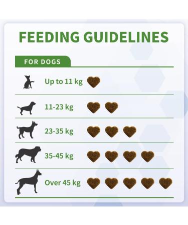 Probiotics For Dogs - Fibre Natural Dog Treats For Gut Health Anal Glands Treatment Dog Itchy Skin Relief and Scooter Gland Treatment For dogs with Psyllium Husk Pumpkin Probiotics Dog (60 Chews) 60 Count - Buy Online on GoSupps.com