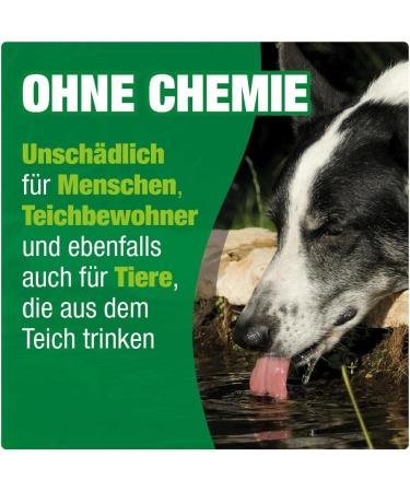 Aquality Gartenteich Bio-Teichlager 3in1 - Kristallklares Wasser f r Teiche 10L Entfernt Tr bungen + Kostenloser Filterfleece - Buy Online on GoSupps.com