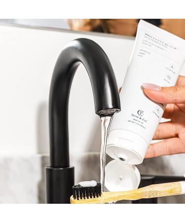 Terra & Co. Brilliant Black Charcoal Toothpaste | Natural Vegan Whitening & Remineralizing | Sensitive Teeth Formula | Mint | 3.4 oz - Buy Online on GoSupps.com