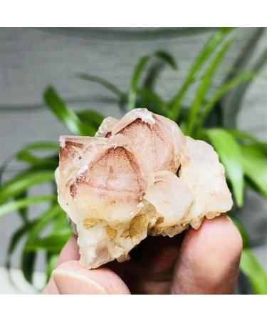 Natural Crystal Rough Stone 50g Natural Red Ghost Pyramid Quartz Crystal Cluster Specimens Balance Gemstone Decoration - Buy Online on GoSupps.com