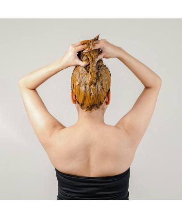 LOGY Nat Habit - Back To Natural Secrets Everyday Ready-to-Apply Henna Paste 100% Natural Soaked in BlackTea and Herbs 220g (Pack of 2) - Dark Brown - Buy Online on GoSupps.com