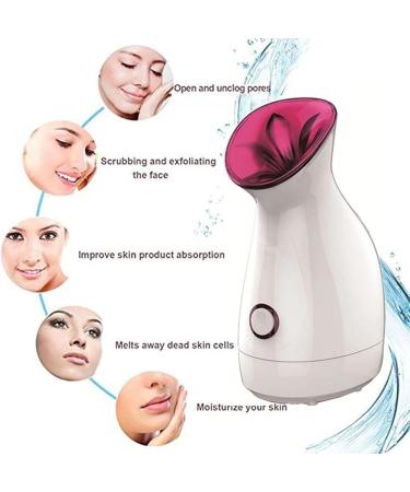 Humidificateur Facial usage domestique vapeur professionnelle Nano ionique vaporisateur chaud pour r duire les rides hydratant C - Buy Online on GoSupps.com