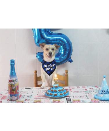 Dog Birthday Boy Bandana - Celebrate Your Pup's Special Day in Style! - Buy Online on GoSupps.com