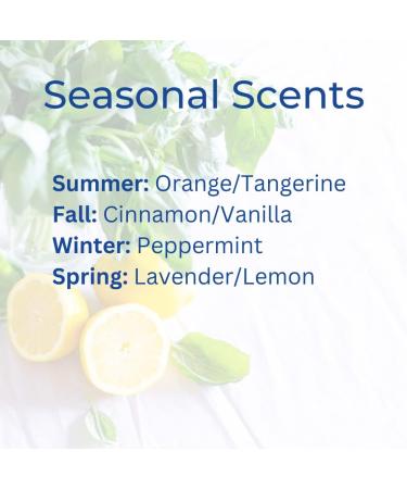 Almara Beauty | Hydrating Body Lotion | Fresh Scent Non Greasy - Buy Online on GoSupps.com