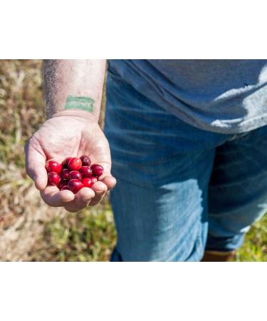 Buy Vincent Family Dried Cranberries with Unsweetened Apple Juice - 9.5 Oz - Healthy Snack - Buy Online on GoSupps.com